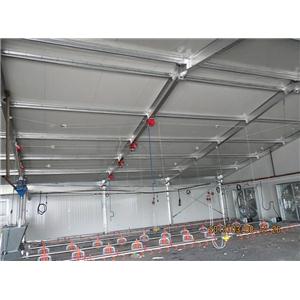 Prefabricated Light Steel Structure Poultry House