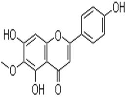 高车前素; 4',5,7-三羟基-6-甲氧基黄酮