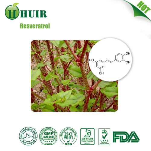 白藜蘆醇,Resveratrol