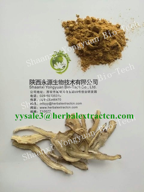 當歸提取物 Dong Quai Root P.E., Angelicae Extract CAS號：4431-01-0 陜西永源生物,Dong Quai Root P.E., Angelicae Extract