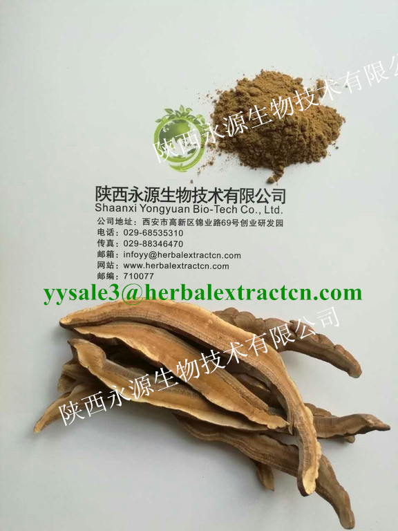 灵芝提取物 Reishi Mushroom Extract 灵芝多糖 陕西永源生物,Reishi Mushroom Extrac