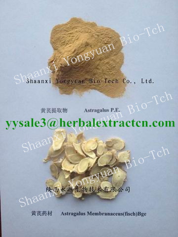 黄芪提取物 Astragalus Extract 陕西永源生物 黄芪多糖,Astragalus Extrac