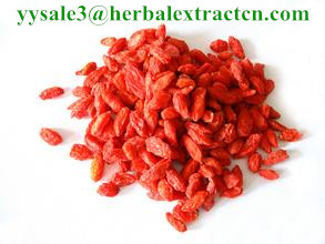 枸杞提取物 Wolfberry Extracts(Goji berry extract) 枸杞多糖 陜西永源生物,Wolfberry Extracts(Goji berry extract