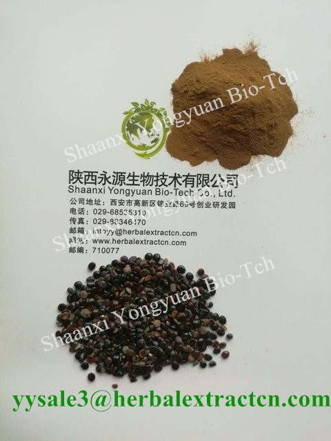 枳椇子提取物Japanese Raisin Tree Seed P.E. 解酒原料 陜西永源生物,Japanese Raisin Tree Seed P.E., Oriental Raisin Tree Extract