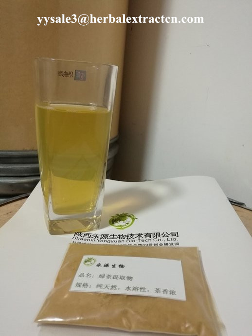 水溶性天然綠茶提取物 Water soluble natural green tea Extract 陜西永源生物,Water soluble natural green tea Extrac