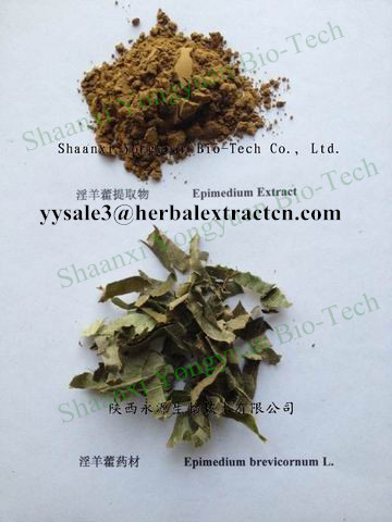 淫羊藿提取物 Epimedium Breviconum P.E. Icarii,Epimedium Breviconum P.E.,  Icariin,  Horny Goat Weed Extract