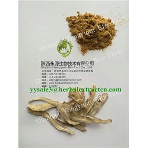 当归提取物 Dong Quai Root P.E., Angelicae Extract CAS号：4431-01-0 陕西永源生物