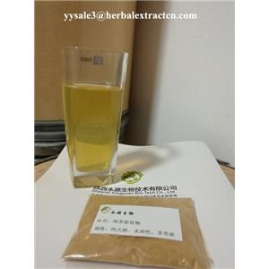 水溶性天然绿茶提取物 Water soluble natural green tea Extract 陕西永源生物