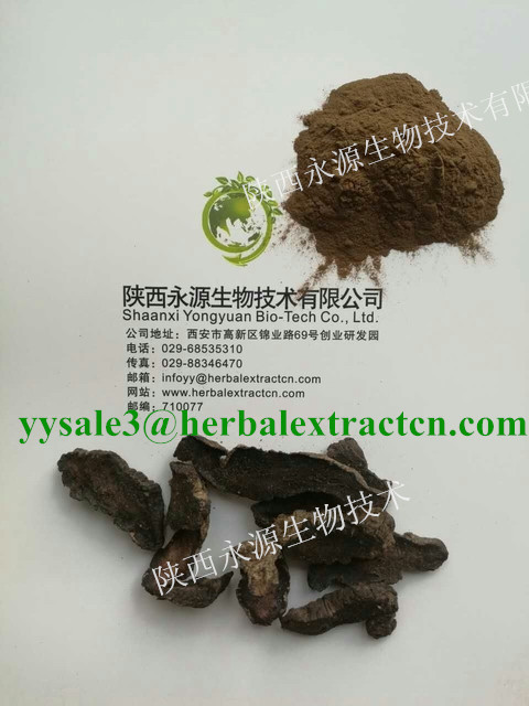 生地提取物， 生地黃提取物， Rehmannia Root Extract， 陜西永源生物,Rehmannia Root Extract