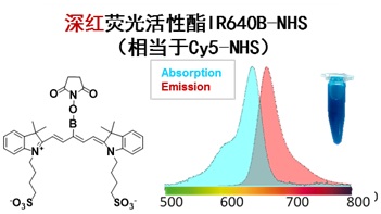 深红荧光基团IR640B-NHS  （相当于Cy5-NHS）,IR640B-NH