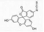 异硫氰酸荧光素5-FITC,Fluorescein isothiocyanateisomer I