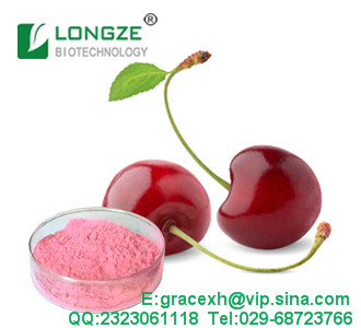 針葉櫻桃提取,Acerola Cherry Extract Powder