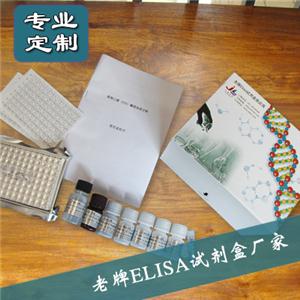 人白细胞介素4(IL-4)ELISA试剂盒