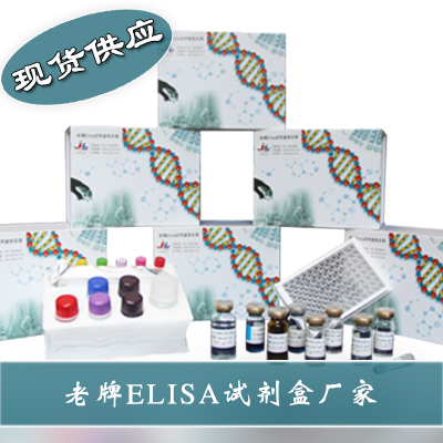 人血管内皮细胞生长因子(VEGF)ELISA试剂盒,Human VEGF ELISA Kit