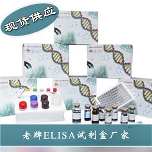 人血管内皮细胞生长因子(VEGF)ELISA试剂盒