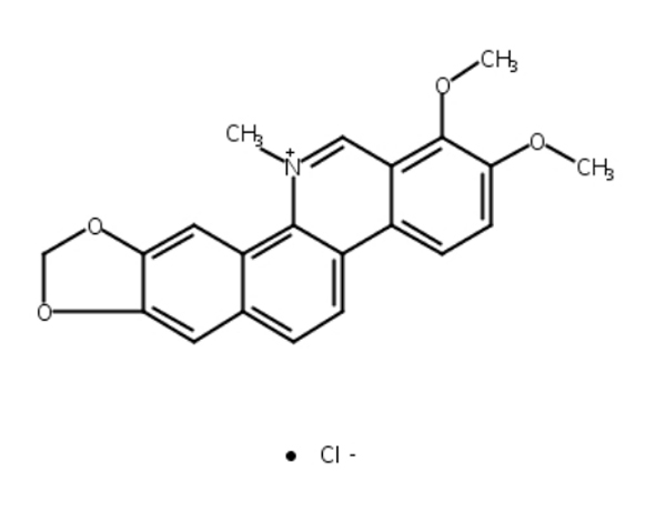 盐酸白屈菜红碱 CAS:3895-92-9,Chelerythrine chloride