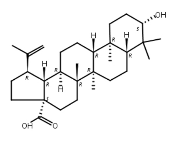 白桦脂酸 CAS:472-15-1,Betulinic acid