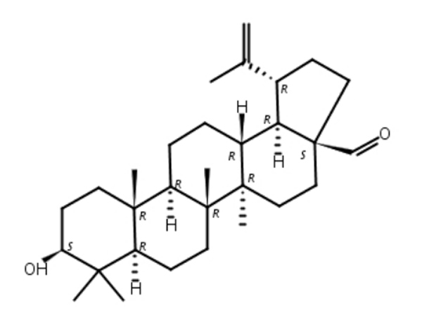 白桦脂醛 CAS:13159-28-9,Betulinaldehyde