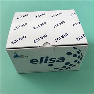 人14-3-3蛋白eta（YWHAH）ELISA试剂盒