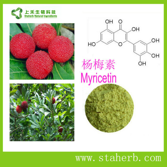 杨梅素,Myricetin