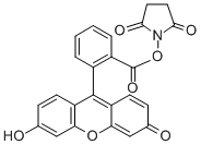 5(6)-羧基荧光素琥珀酰亚胺酯,5(6)-Carboxyfluorescein N-succinimidyl ester
