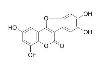 Isodemethylwedelolacton,Isodemethylwedelolacton