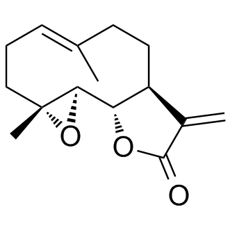 小白菊内酯,Parthenolide