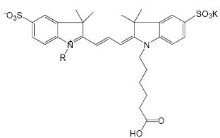 CY3,Cy3