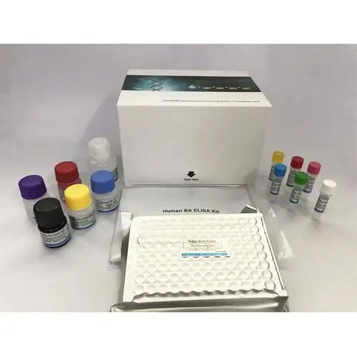 610002牛睾酮（T）定量检测试剂盒（ELISA）,Bovine Testosterone（T） ELISA KIT