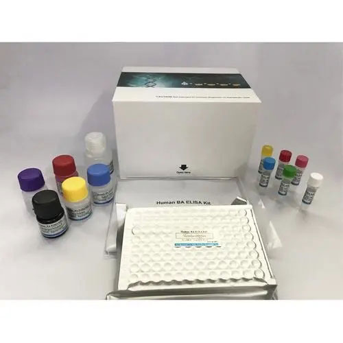 410001兔睾酮（T）定量检测试剂盒（ELISA）,Rabbit Testosterone（T） ELISA KIT