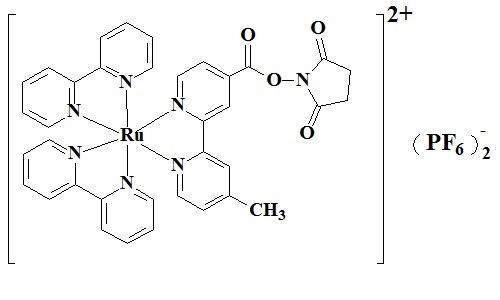 双（2,2’-联吡啶）-4’-甲基-4-羧基联吡啶钌N-羟基琥珀酰亚胺酯双六氟磷酸盐,Bis(2,2'-bipyridine)-4'-methyl-4-carboxybipyridine-ruthenium N-succinimidyl ester -bis(hexafluorophosphate)