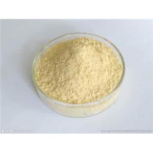 Natural PawPaw Extract Powder