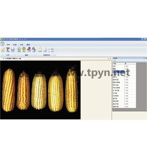自动种子考种分析及千粒重仪系统可以准确预测玉米产量