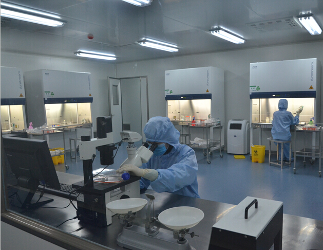 SVEC4-10体外培养细胞系,SVEC4-10体外培养细胞系