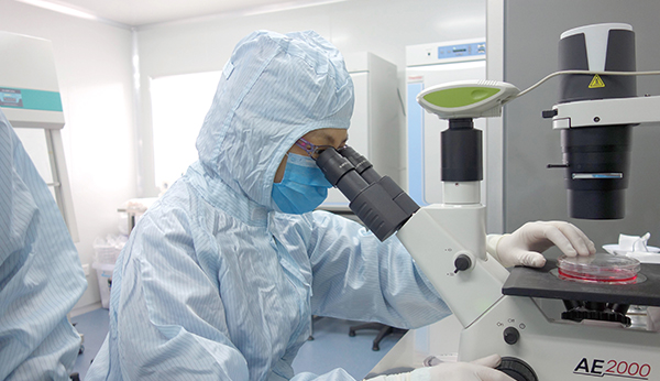 RKO-AS45-1复苏传代细胞系,RKO-AS45-1复苏传代细胞系