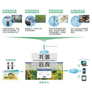 利用农林四情监测仪提升大棚作物的产量