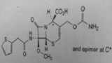 头孢西丁杂质B,Cefoxitin impurity B