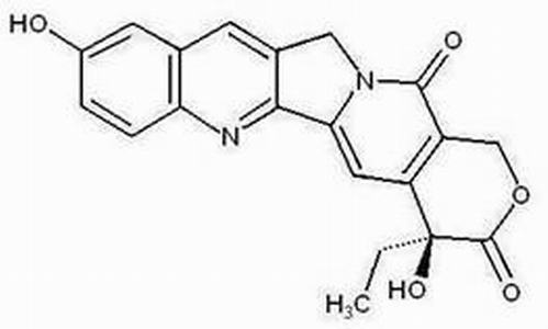 10-羟基喜树碱(CAS:19685-09-7),10-Hydroxycamptothecin