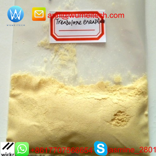 群勃龙庚酸酯,Trenbolone Enanthate Powder