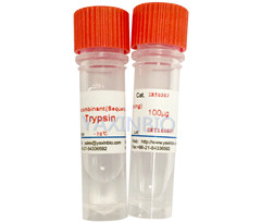 序列分析纯胰蛋白酶（液体）,Sequencing grade trypsin