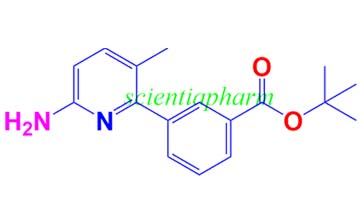 3-(6-氨基-3-甲基吡啶-2-基)苯甲酸叔丁酯,3-(6-Amino-3-methyl-pyridin-2-yl)-benzoicacidtert-butylester
