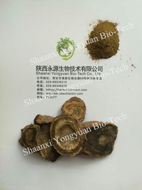 大黄提取物 Rhubarb Root P.E 大黄素50% CAS号：518-82-,Rhubarb Root P.