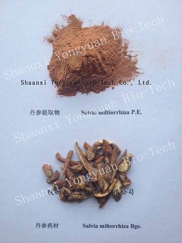 丹参提取物 Salvia Root P.E. 丹酚酸B 丹参酮IIA,Salvia Root P.E., Tanshinone IIA, Salvianolic acid B