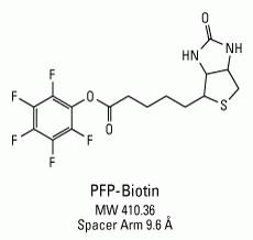 PFP-Biotin，Biotin-PFP，Biotin-PFP-ester,PFP-Biotin