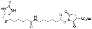 Sulfo-NHS-LC-Biotin，CAS:127062-22-0,Sulfo-NHS-LC-Biotin