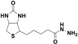 Biotin Hydrazide，CAS:66640-86-6,Biotin Hydrazide