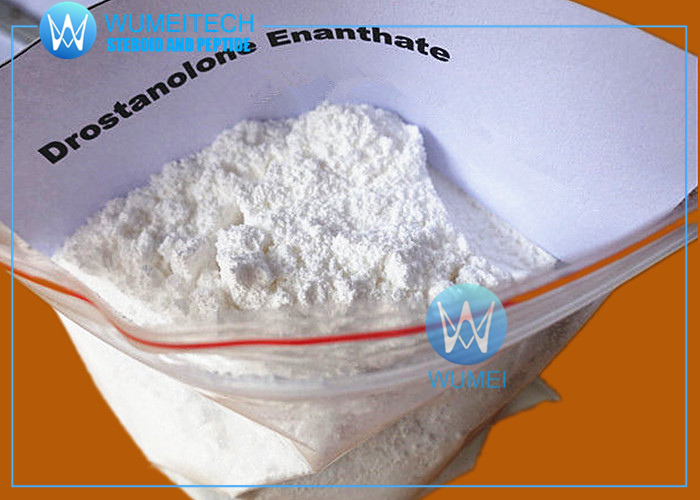 Drostanolone Enanthate,Drostanolone Enanthate