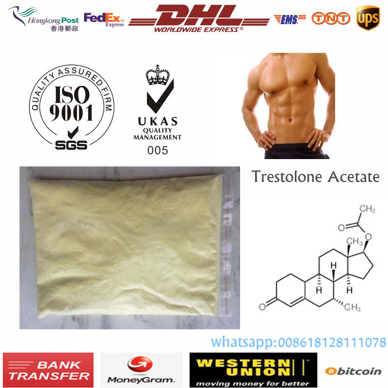Trestolone Acetate Raw Powder Steroid CAS 6157-87-5,Trestolone Acetate (MENT)