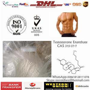 Top Quality Testosterone Enanthate Raw Steroid Powde