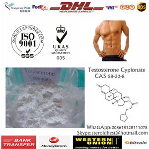China Top Quality Raw Steroid Powder Testosterone Cypionate